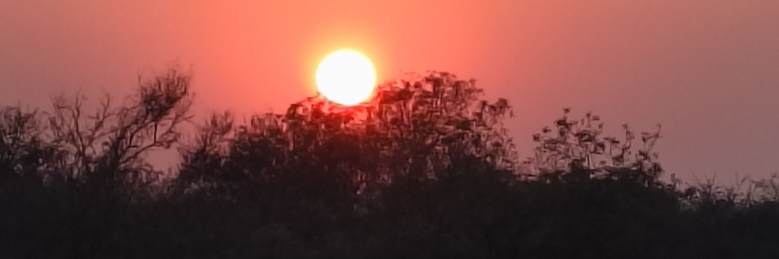 MaxwellRods's profile banner image