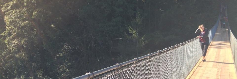 vichocking's profile banner image