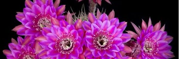 michhebert01 Profile Banner