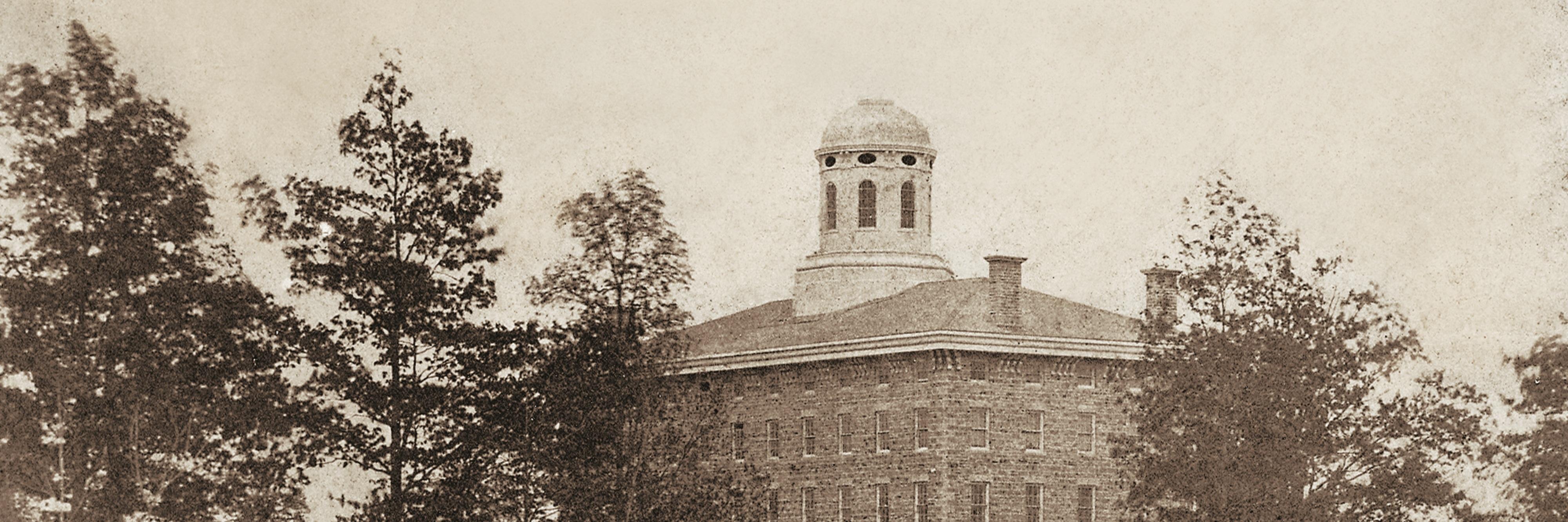 LU Archives's banner