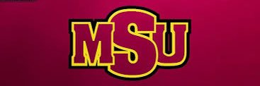 MSU Softball Dad banner
