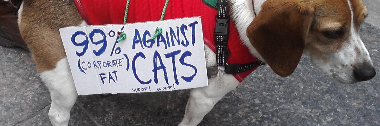 DogsOnDemos's profile banner image