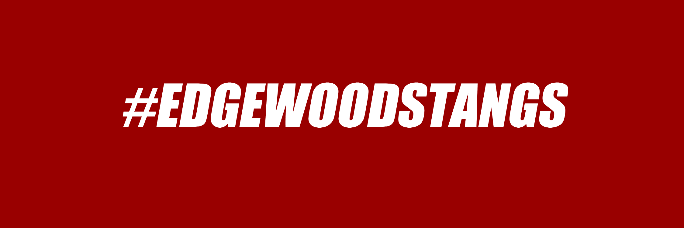 Edgewood Mustangs banner