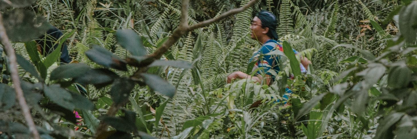 dediawanx's profile banner image