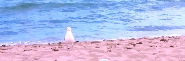 justicethinking Profile Banner