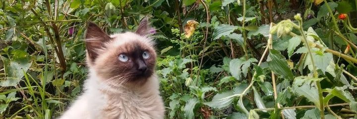 5_ferlly's profile banner image