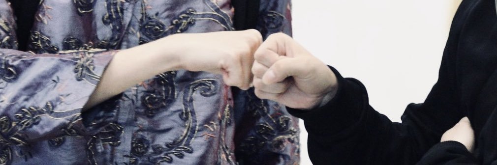 N. banner