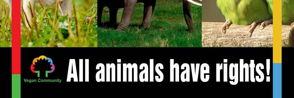 Vegan_Community's profile banner image
