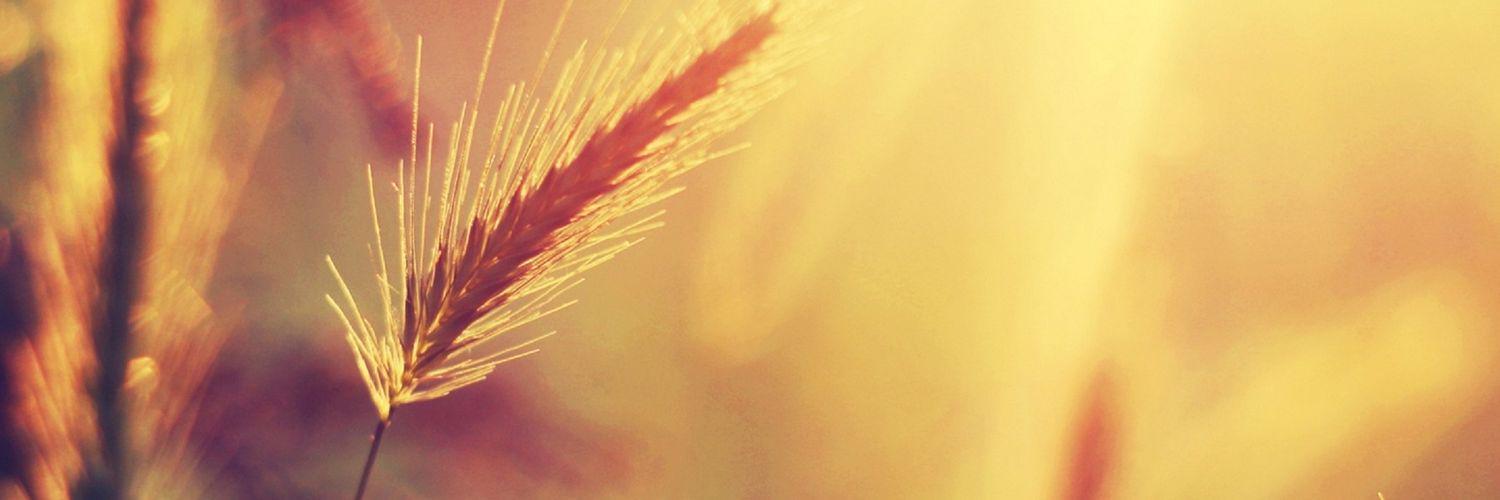 hillvamstad's profile banner image
