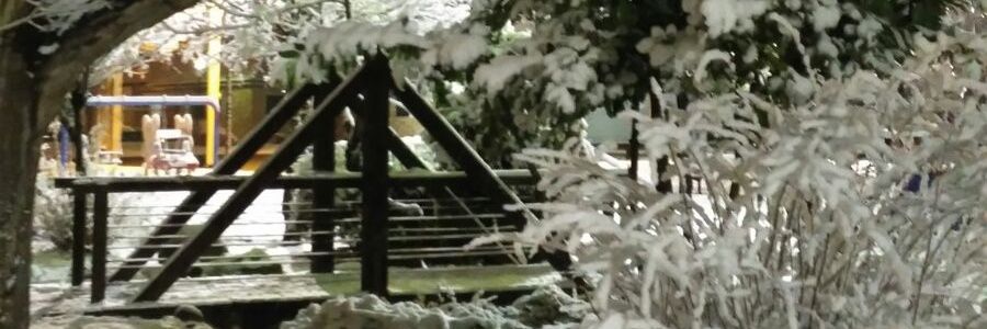 danka8_2001's profile banner image