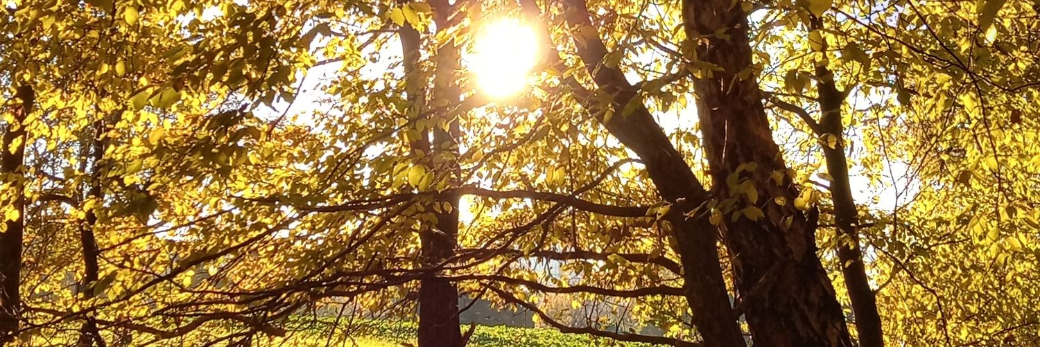 agomedia's profile banner image