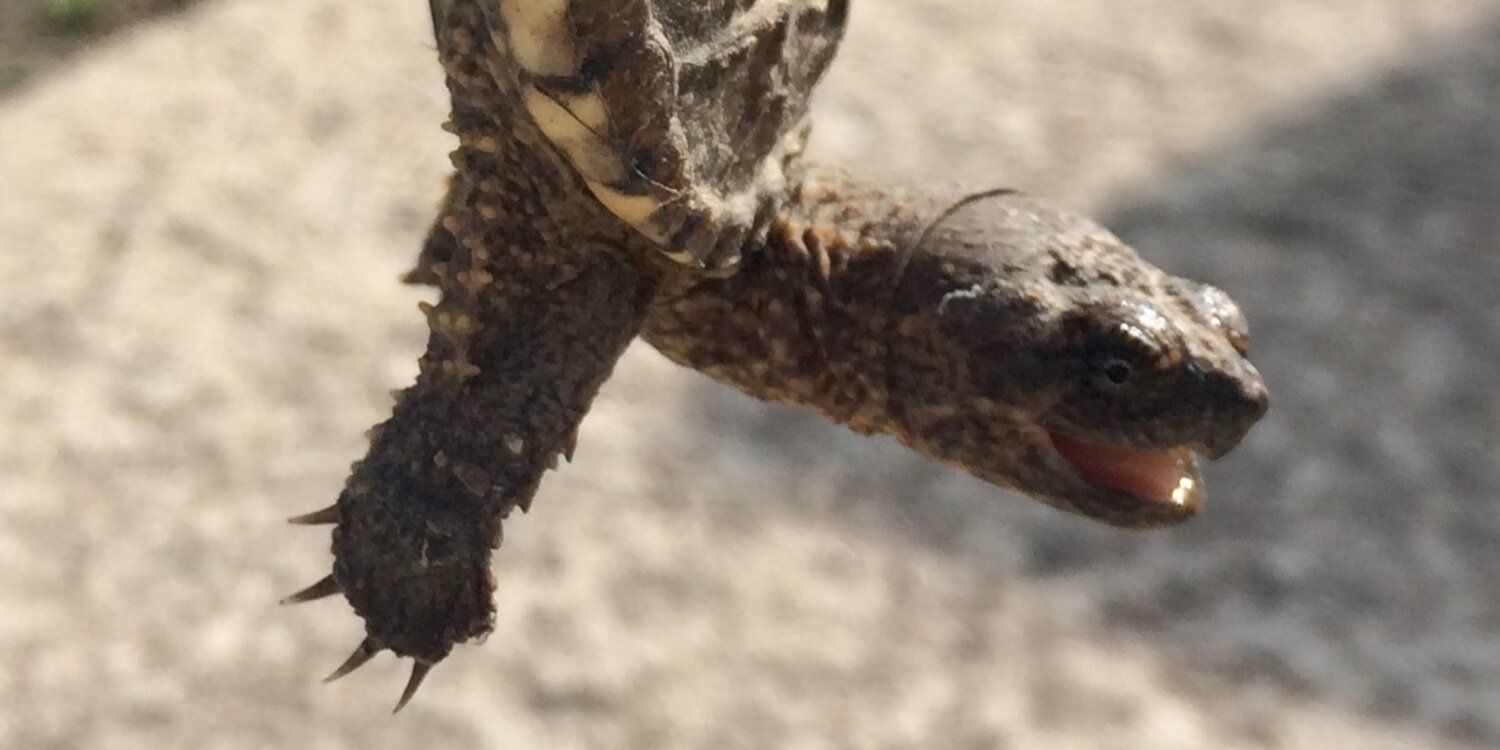 Scott Schoenberger banner