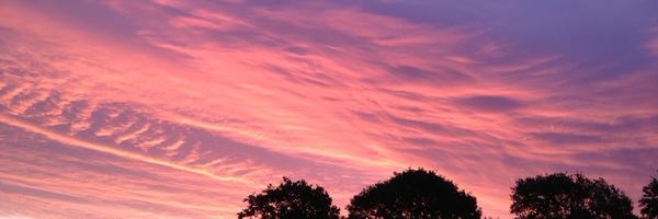 RossGEdgar Profile Banner