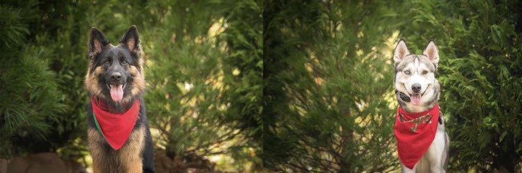 danAwilliams94's profile banner image