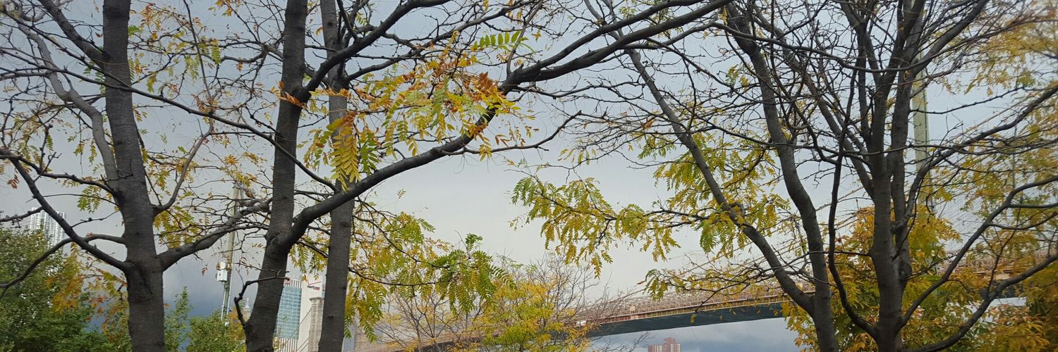 GenevaSerrano's profile banner image