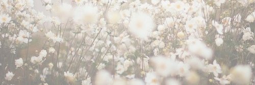 iamjessicca's profile banner image