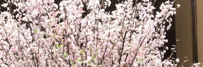 ✨☻福☻✨ banner