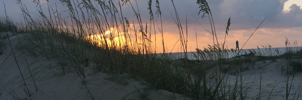 Tx_ag_'s profile banner image