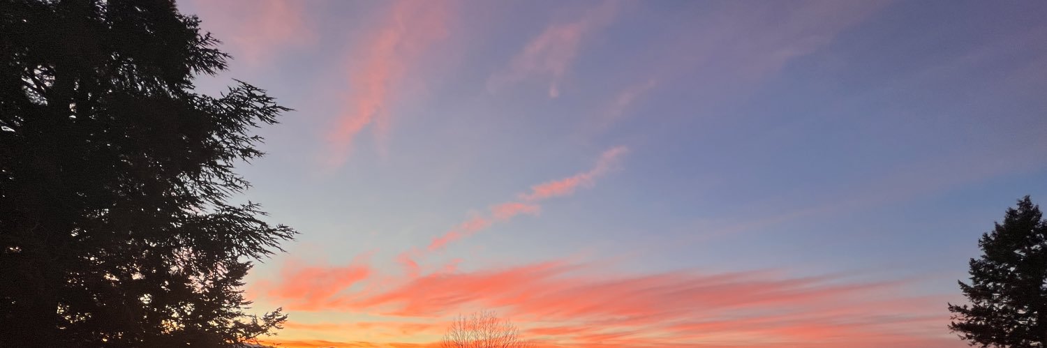 amandaclement's profile banner image