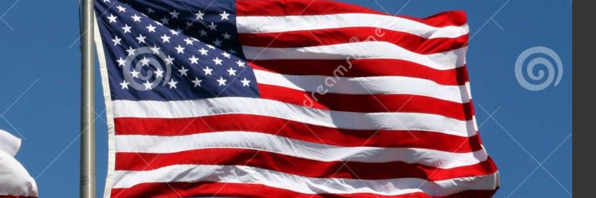 Tlrobins ♥️🇺🇸 banner