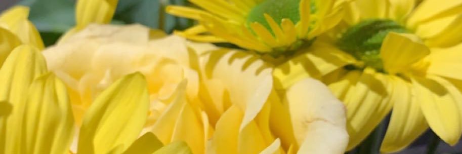 SabrinaVega95's profile banner image