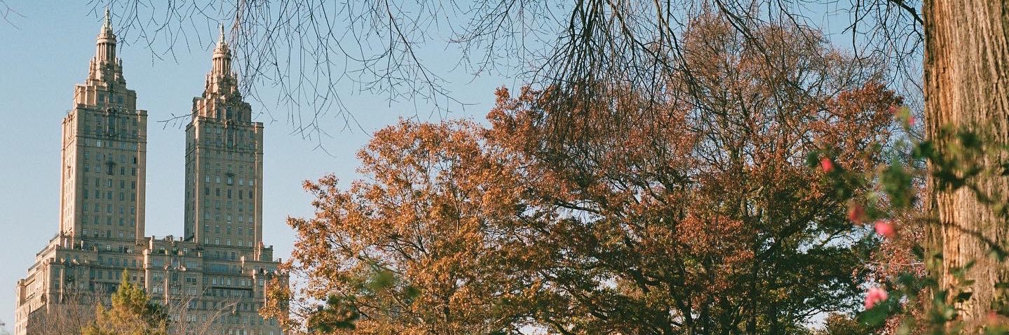 tifftates's profile banner image