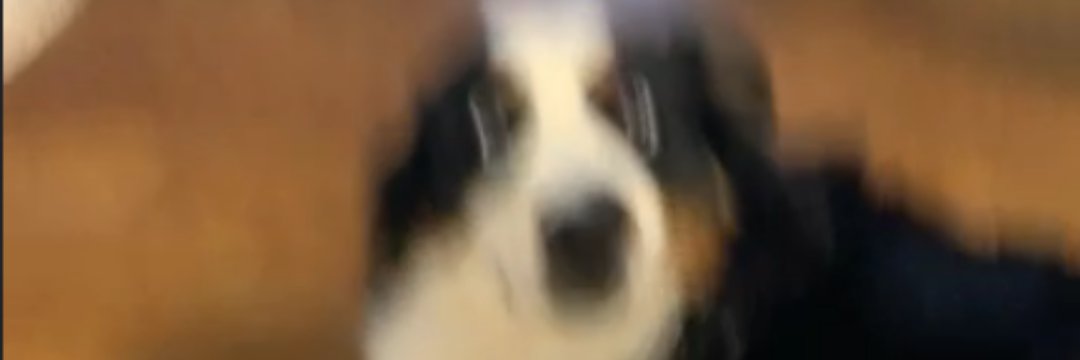 Not_Waiter's profile banner image