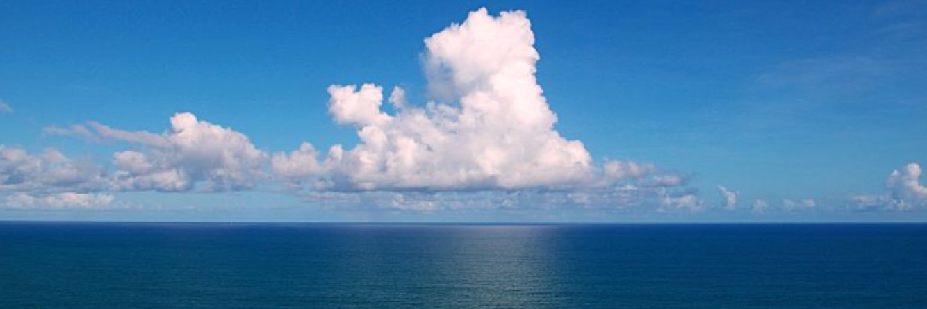 4realPolitic's profile banner image