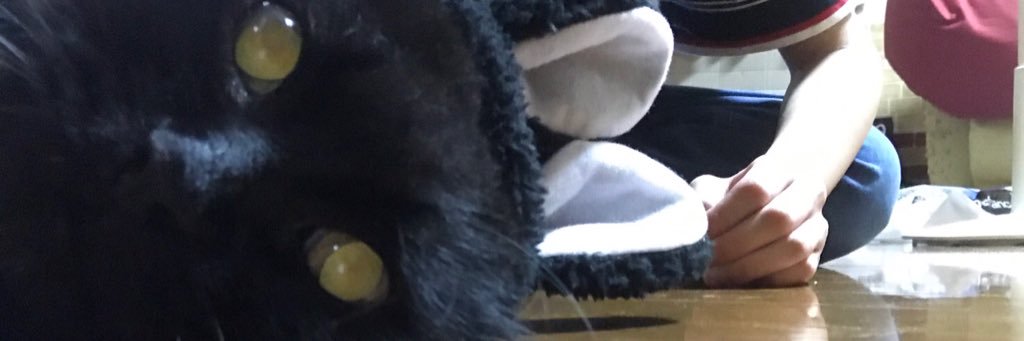 rinapote's profile banner image