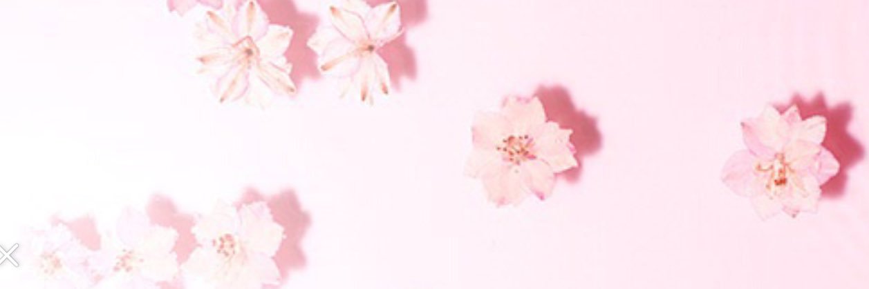 my_cinamonroll's profile banner image