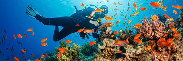 Outlaw Josey Wales banner