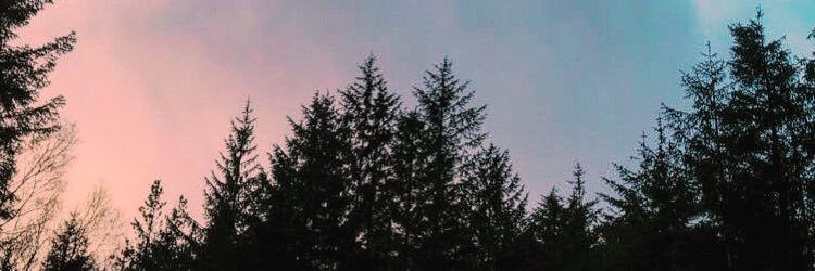 AmyHawlxy's profile banner image