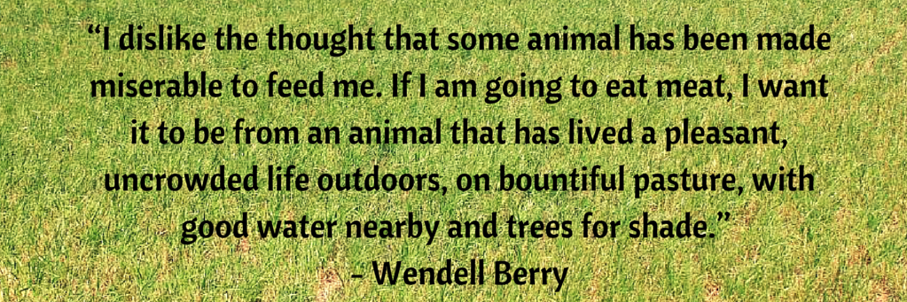 Nick's Sticks banner