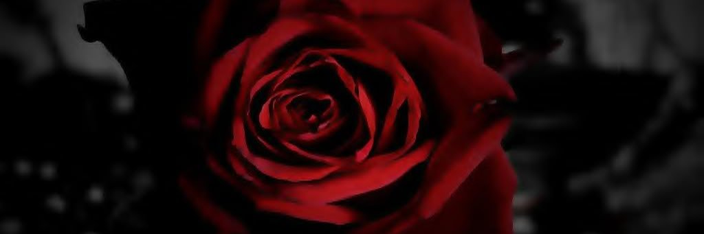 Samy_SV's profile banner image