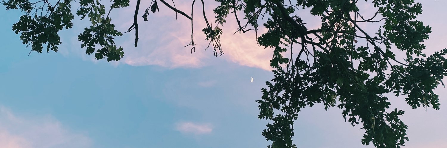 minbottomley's profile banner image
