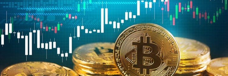 #₿TC hodler 🚀's banner