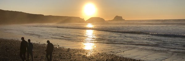 whystevie Profile Banner