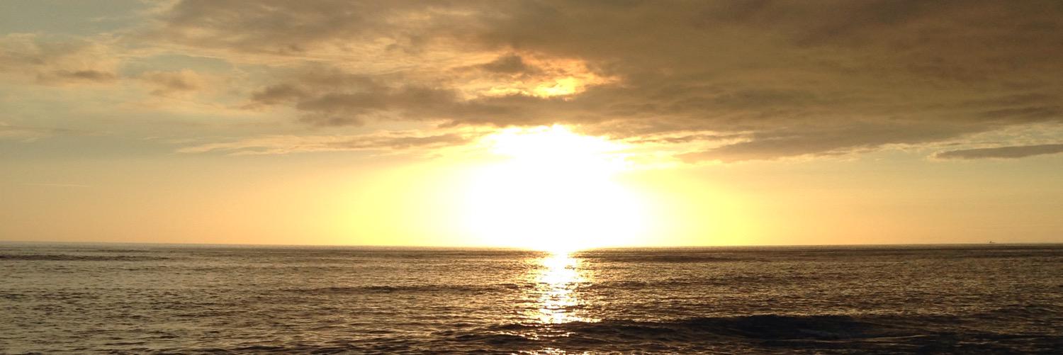 tasha_dawnnn's profile banner image
