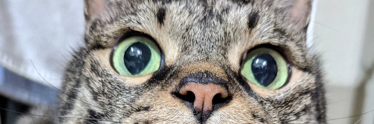 ooosmt's profile banner image