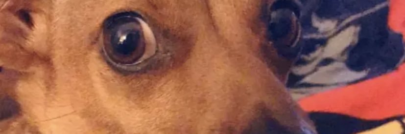 AssSlayer666's profile banner image