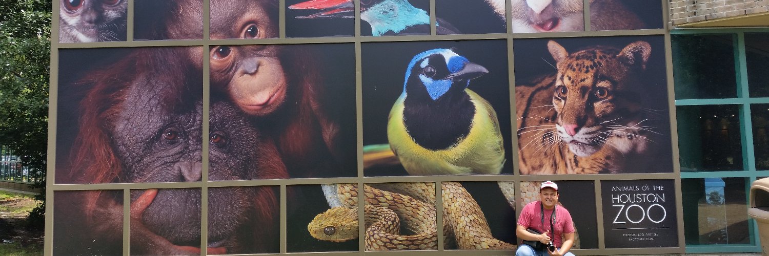 Ronny Chávez ⭐️⭐️⭐️ banner