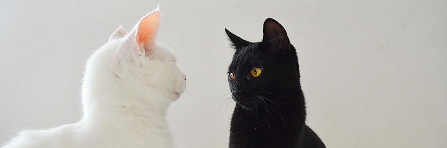 KMBURRLY's profile banner image
