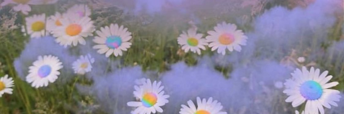 Miicchellle's profile banner image