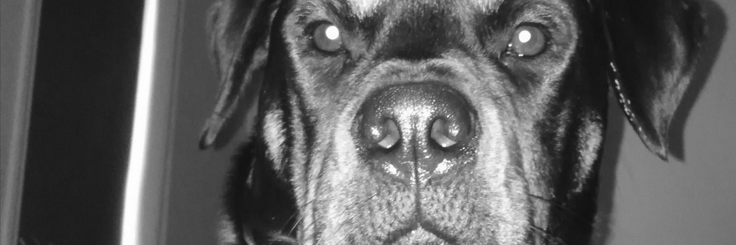 LuckyButtysTips's profile banner image