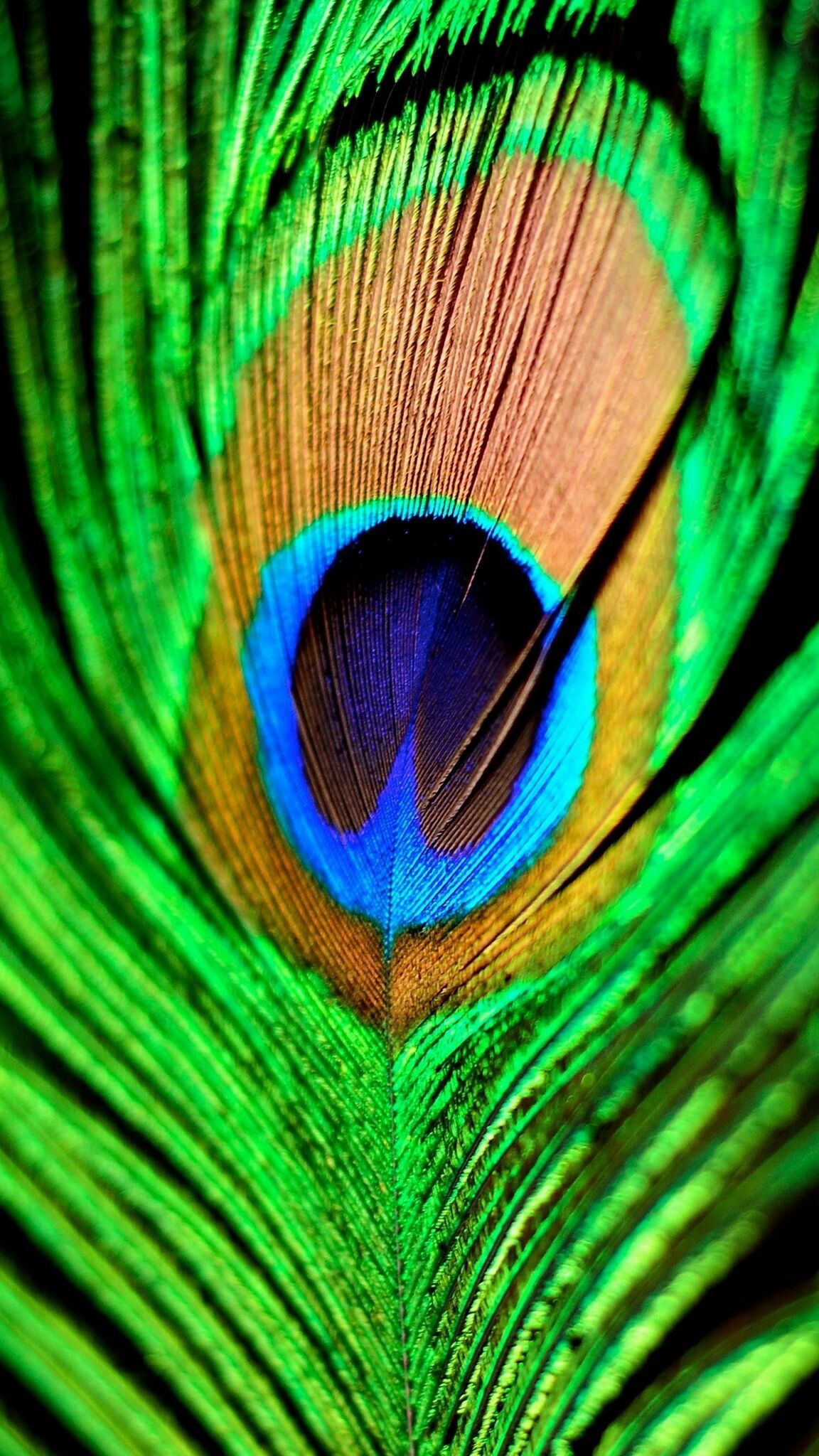 satvirsingh11's profile banner image