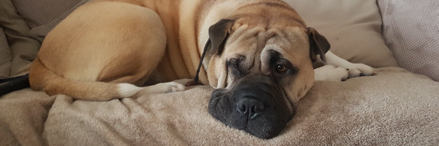 ☕ SharpeiDiem 💊 banner