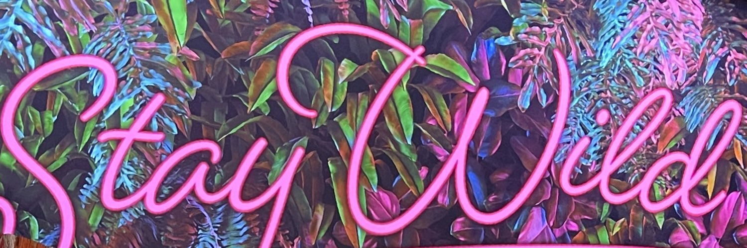 cameronsethlv's profile banner image