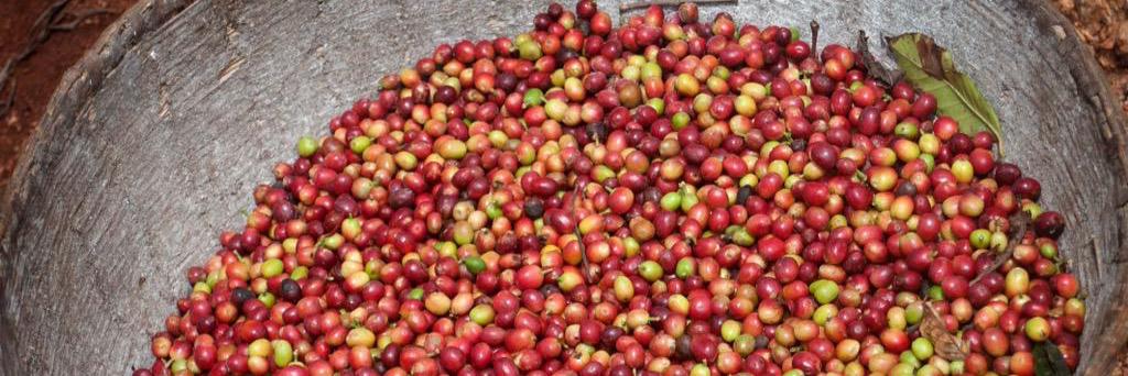 streetsdcoffee's profile banner image