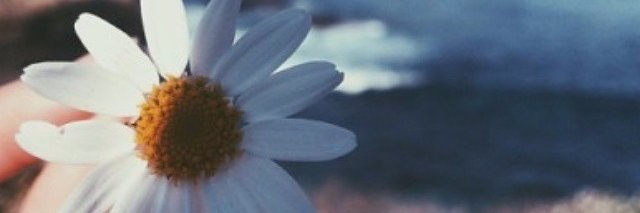 Ftayris's profile banner image