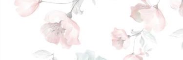 edithjulieta_'s profile banner image